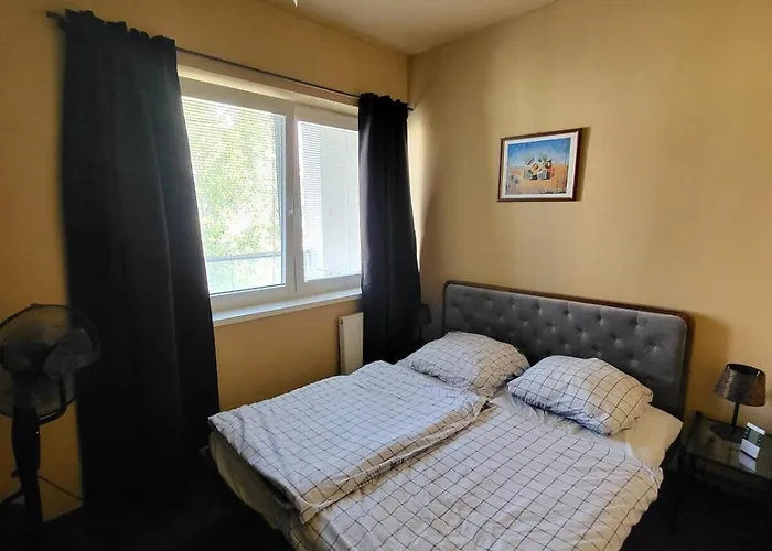 Cosy In Centre トルナヴァ